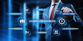 Maximize Efficiency With Hr Management System